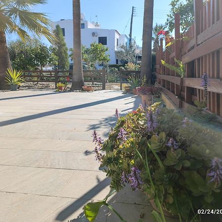 Palm Garden Paradise 페르볼리아 외부 사진